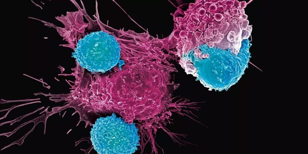 Исследование показывает, как рак может перехватить полезный иммунный путь распространения