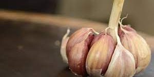 Ученые выяснили, как устранить чесночный запах изо рта