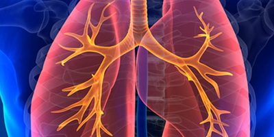 В столице появилась ещё одна нейросеть для выявления признаков заболеваний