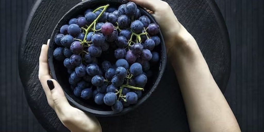 Биолог Мальцева лучше всего питанием корректируется рак молочной железы