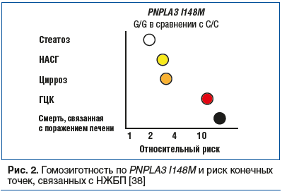 Рис. 2. Гомозиготность по PNPLA3 I148M и риск конечных точек, связанных с НЖБП [38]