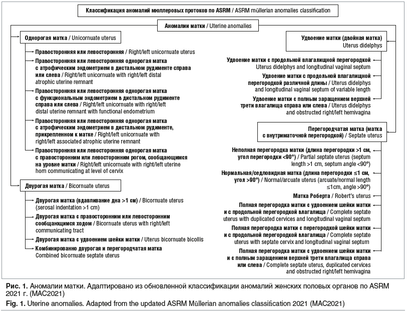 Рис. 1. Аномалии матки. Адаптировано из обновленной классификации аномалий женских половых органов по ASRM 2021 г. (MAC2021) Fig. 1. Uterine anomalies. Adapted from the updated ASRM Müllerian anomalies classification 2021 (MAC2021)