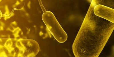 Уменьшаются общемировые запасы вакцины против холеры