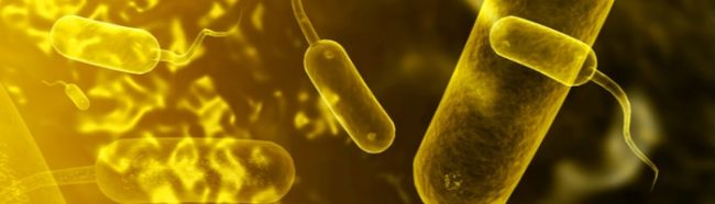 Уменьшаются общемировые запасы вакцины против холеры