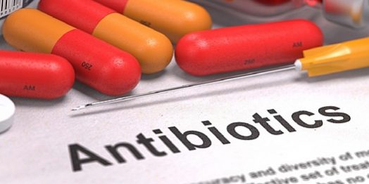 Ученые обнаружили у сердца скрытые возможности к самостоятельной регенерации