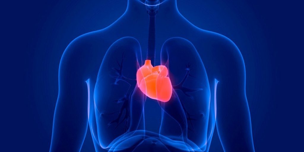 Первые сигналы организма, предшествующие остановке сердца