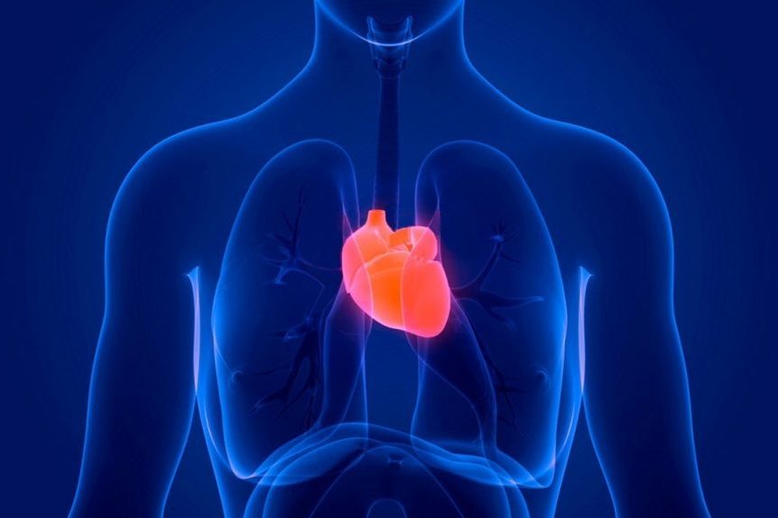 Первые сигналы организма, предшествующие остановке сердца