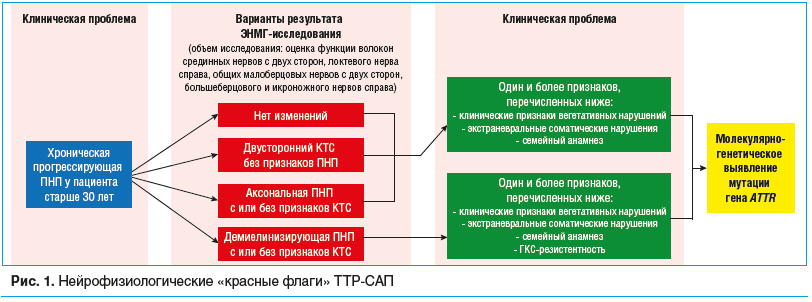 Рис. 1. Нейрофизиологические «красные флаги» ТТР-САП