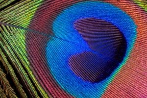 Выявлена возможная связь между татуировками и развитием лимфомы