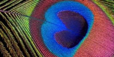 Выявлена возможная связь между татуировками и развитием лимфомы