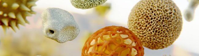 ГК «Алкор Био» первой в России зарегистрировала тест-систему для оценки активации базофилов