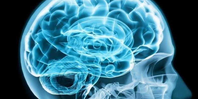 Исследование: влияние сна на формирование памяти в мозге