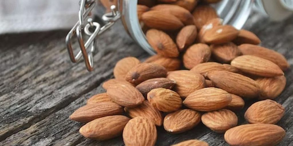 Биолог Созыкин: почему полезно съедать по 10 миндальных орехов ежедневно