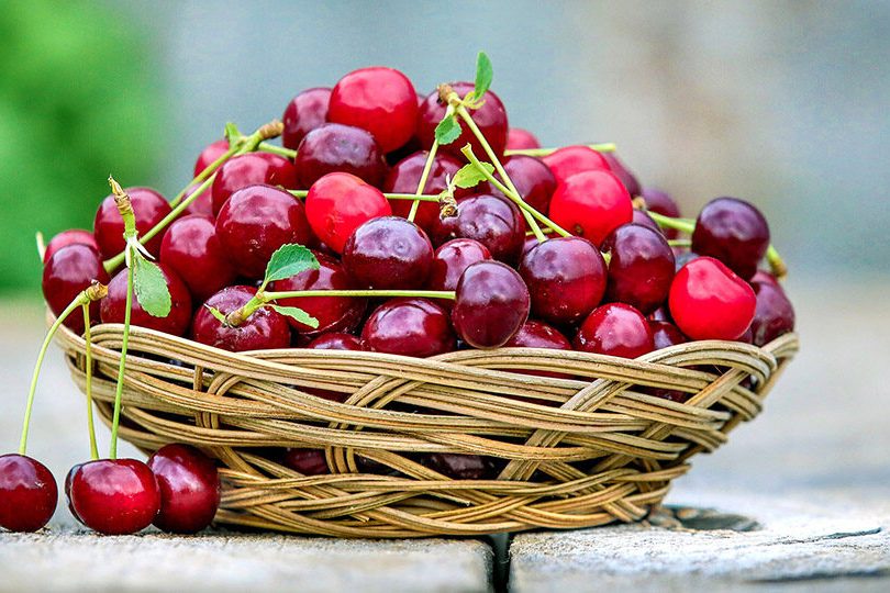 Чем полезны ягоды вишни: 6 удивительных свойств для здоровья