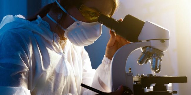 Ученые вырастили мини-кишечник для изучения болезни Крона