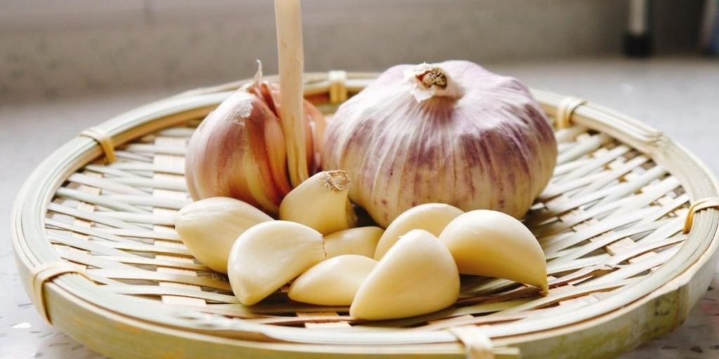 Нутрициолог Гусакова: чеснок полезен для предотвращения тромбов и болезней сердца