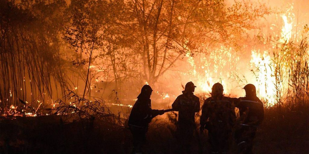 Найдена связь между лесными пожарами и развитием деменции