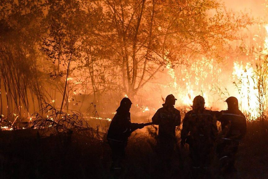 Найдена связь между лесными пожарами и развитием деменции