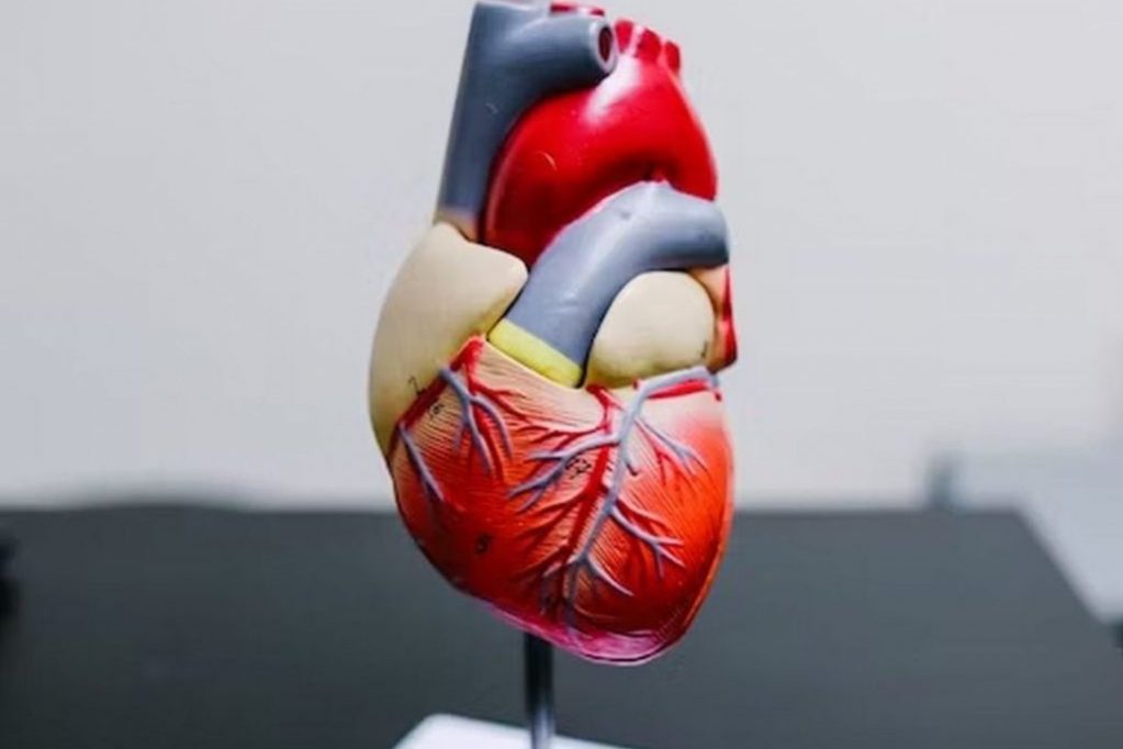 Боли в животе или безболевая форма: кардиолог Бирюкова рассказала о