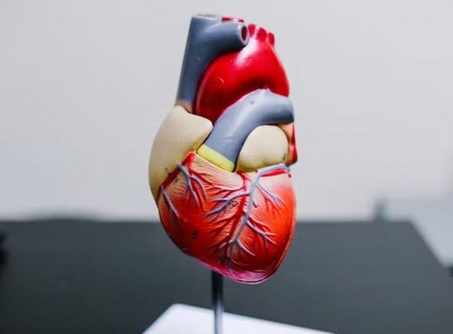 Боли в животе или безболевая форма: кардиолог Бирюкова рассказала о