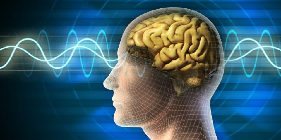 2 серьезные функции мозга, которые с возрастом работают лучше