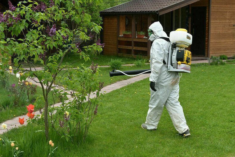 Врач Ярцева: сорные растения могут вызывать аллергию