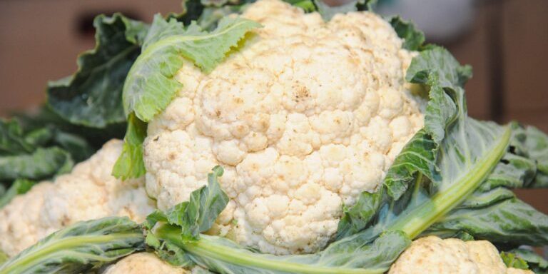 BMC Medicine: брокколи и цветная капуста эффективнее всего снижают давление