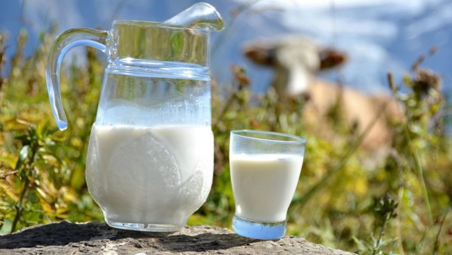 Эксперты из Канады рассказали, чем соевое молоко полезнее коровьего