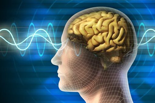 Ответ на один вопрос расскажет о здоровье мозга человека