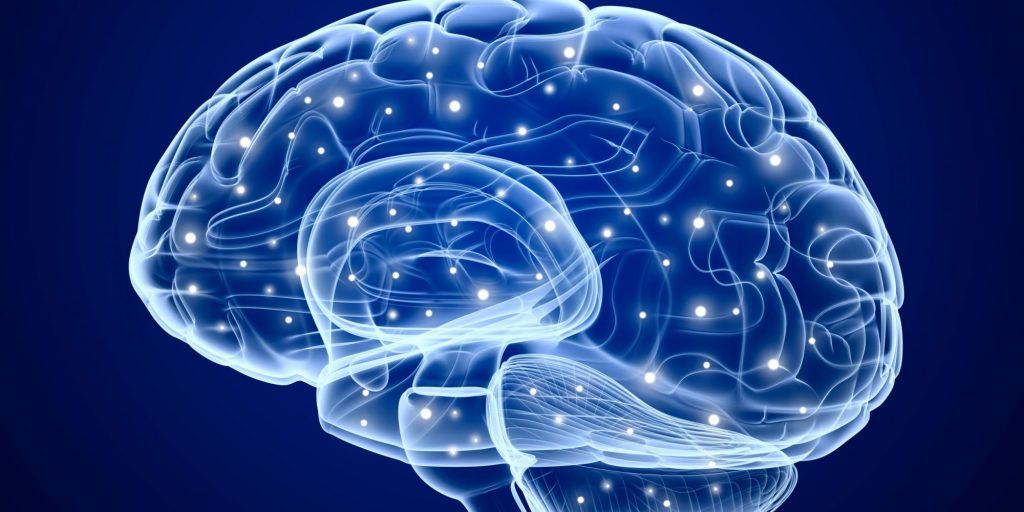 Nature: болезнь Альцгеймера поражает мозг в две отдельные фазы