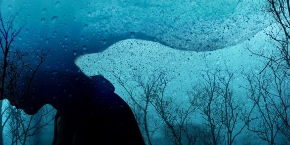 Ученые рассказали, что такое сезонное аффективное расстройство и как с ним жить