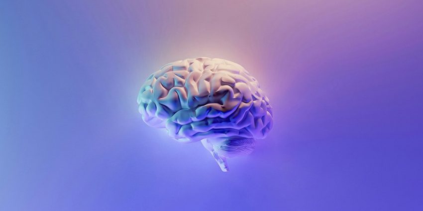 Отсутствующий ген, деформирующий череп, может посеять семена шизофрении