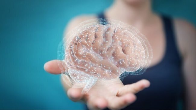 NutNeuro: богатая пробиотиками диета улучшает когнитивную функцию