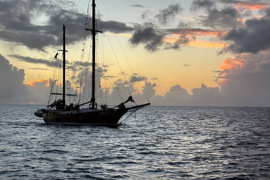 photo_5388934246007169850_y