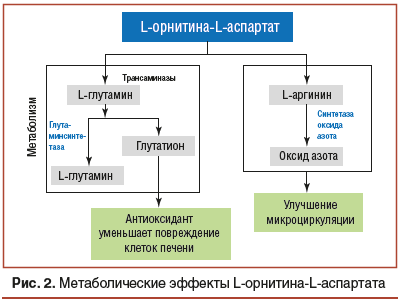 Рис. 2. Метаболические эффекты L-орнитина-L-аспартата