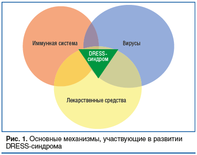 Рис. 1. Основные механизмы, участвующие в развитии DRESS-синдрома