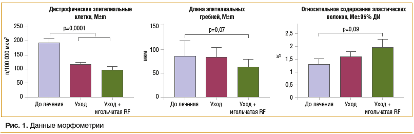 Рис. 1. Данные морфометрии