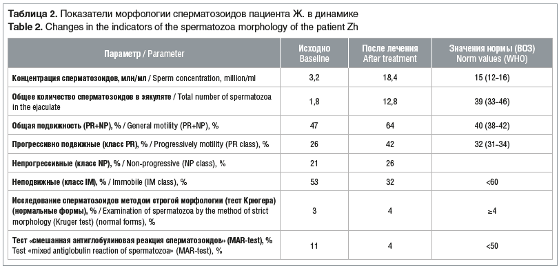 Таблица 2. Показатели морфологии сперматозоидов пациента Ж. в динамике Table 2. Changes in the indicators of the spermatozoa morphology of the patient Zh