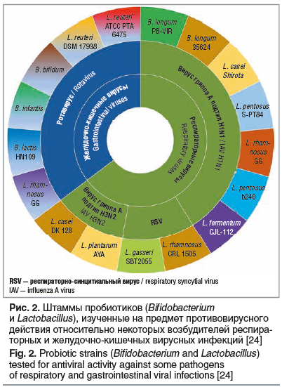 Рис. 2. Штаммы пробиотиков (Bifidobacterium и Lactobacillus), изученные на предмет противовирусного действия относительно некоторых возбудителей респира- торных и желудочно-кишечных вирусных инфекций [24] Fig. 2. Probiotic strains (Bifidobacterium and Lac