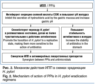 Рис. 2. Механизм действия ИПП в схемах эрадикации H. pylori Fig. 2. Mechanism of action of PPIs in H. pylori eradication regimens