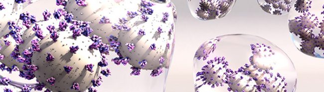 В 2024 г. стабилизировалась ситуация с поставками вакцин для профилактики кори в России