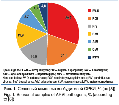 Рис. 1. Сезонный комплекс возбудителей ОРВИ, % (по [3]) Fig. 1. Seasonal complex of ARVI pathogens, % (according to [3])