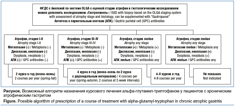 Рисунок. Возможный алгоритм назначения курсового лечения альфа-глутамил-триптофаном у пациентов с хроническим атрофическим гастритом Figure. Possible algorithm of prescription of a course of treatment with alpha-glutamyl-tryptophan in chronic atrophic gas