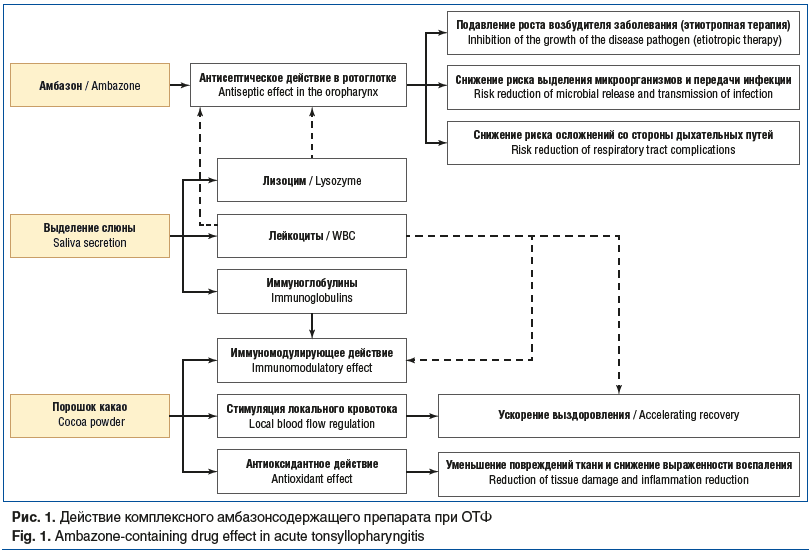 Рис. 1. Действие комплексного амбазонсодержащего препарата при ОТФ Fig. 1. Ambazone-containing drug effect in acute tonsyllopharyngitis