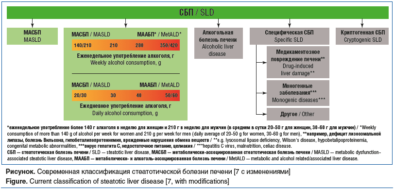 Рисунок. Современная классификация стеатотической болезни печени [7 с изменениями] Figure. Current classification of steatotic liver disease [7, with modifications]