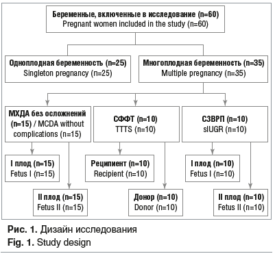 Рис. 1. Дизайн исследования Fig. 1. Study design