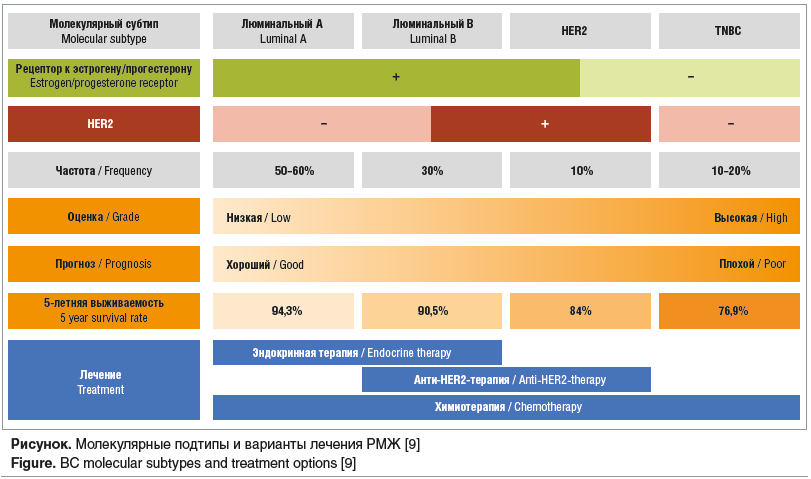 Рисунок. Молекулярные подтипы и варианты лечения РМЖ [9] Figure. BC molecular subtypes and treatment options [9]