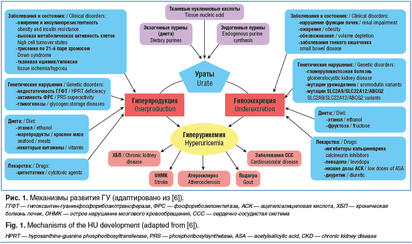 Рис. 1. Механизмы развития ГУ (адаптировано из [6]). ГГФТ — гипоксантин-гуанинфосфорибозилтрансфераза, ФРС — фоcфорибозилсинтетаза, АСК — ацетилсалициловая кислота, ХБП — хроническая болезнь почек, ОНМК — острое нарушение мозгового кровообращения, ССС — с