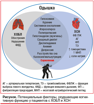 Рисунок. Потенциальные факторы, ухудшающие когнитивную функцию у пациентов с ХОБЛ и ХСН