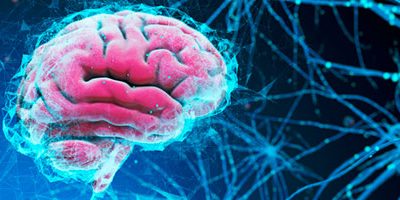 Татьяна Голикова и Вероника Скворцова открыли Центр когнитивного и психоэмоционального здоровья ФМБА